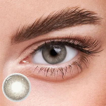EyeLensy Apex Grey  | 1 Year