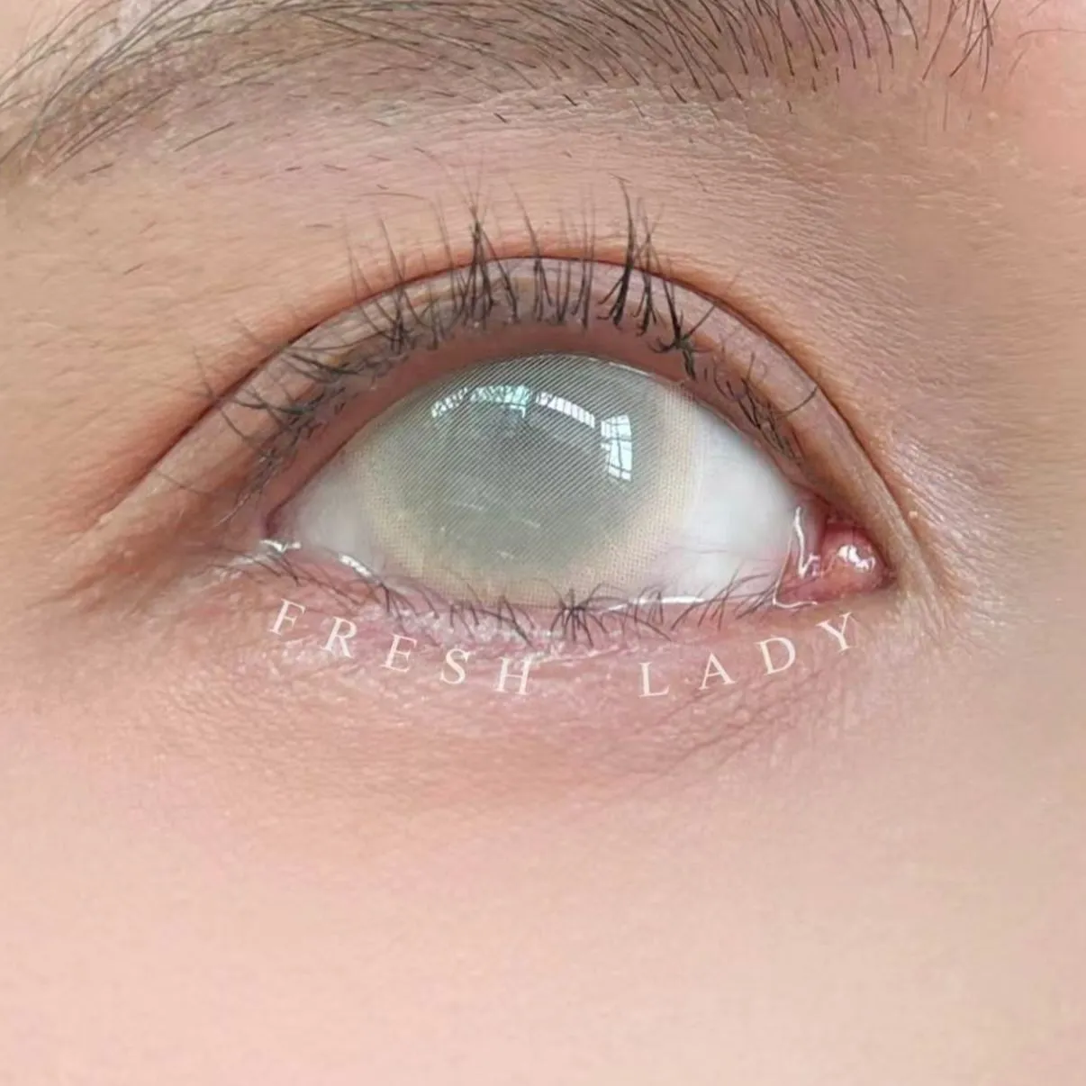 EyeLensy Sheer White | 1 Year