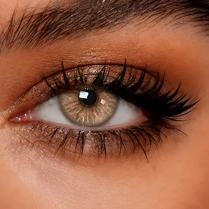 EyeLensy Cannes Coffee | 1 Year