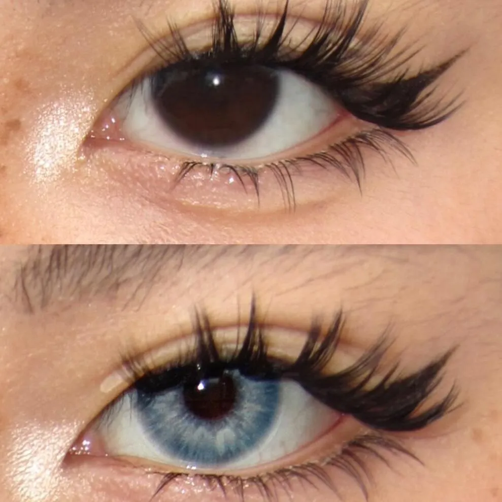 EyeLensy Blue Circuit | 1 Year