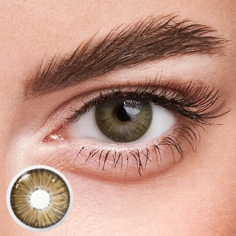 EyeLensy New York II Grey Brown | 1 Year