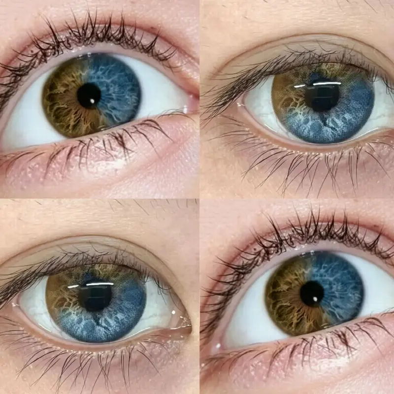 EyeLensy Half Moon Haze | 6 Months