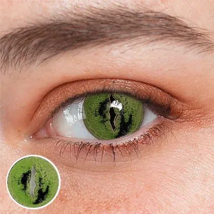 EyeLensy Giant Crocodile | 1 Year